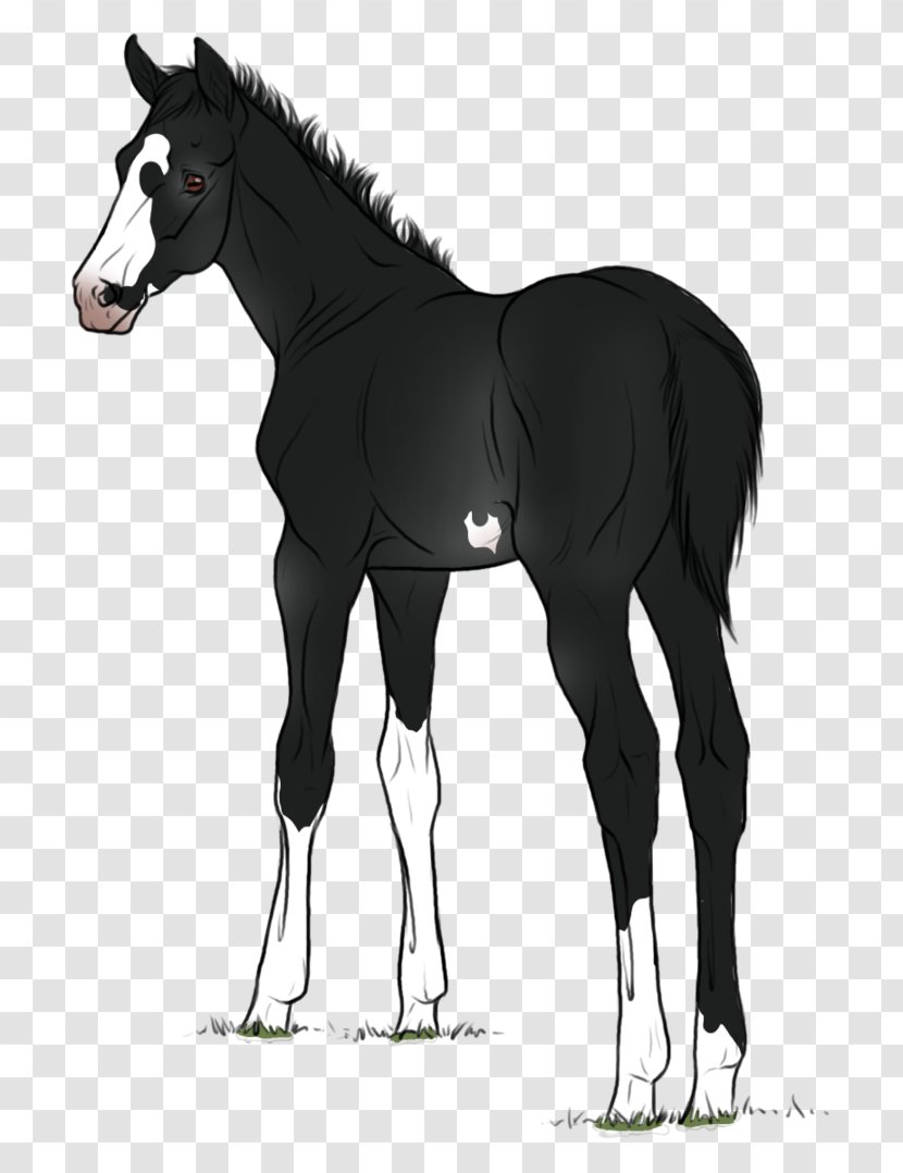 Mustang Foal Mare Stallion Mane - Fictional Character Transparent PNG