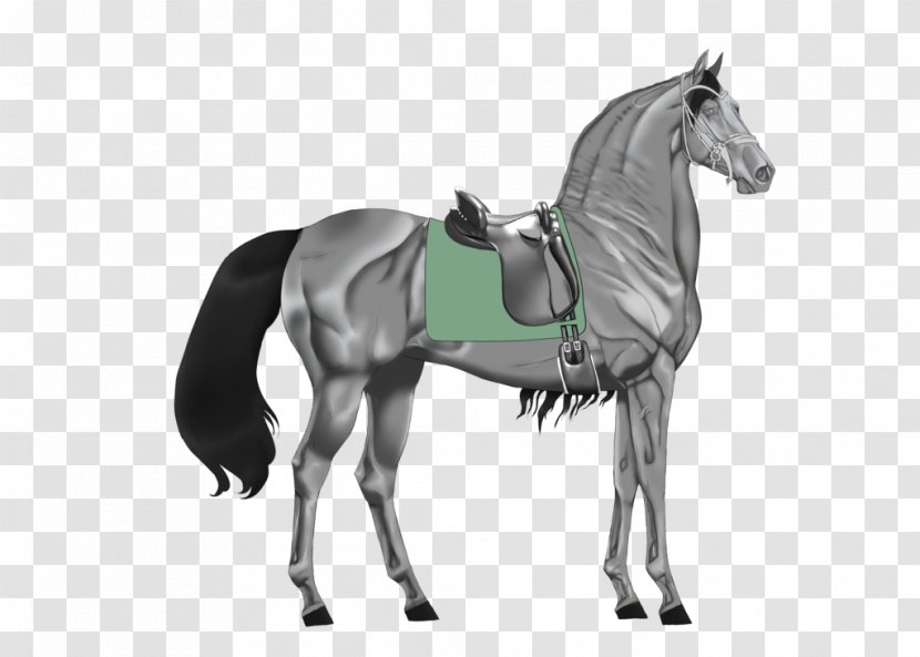Stallion Mustang Pony Mare Rein - Horse Harnesses - Tack Transparent PNG