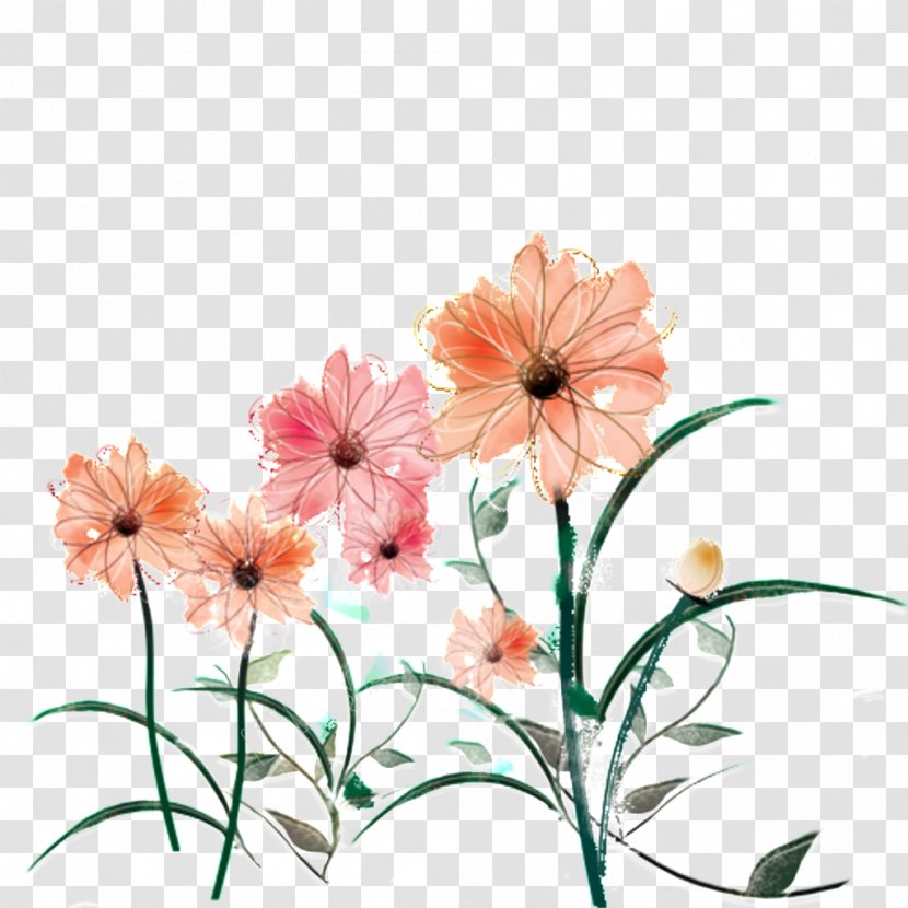 Illustration Chrysanthemum Image Flower Green - Petal - Greenleaf Pattern Transparent PNG