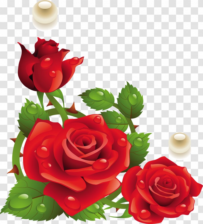 Rose Paper Red Flower Clip Art - Plant - Funeral Transparent PNG