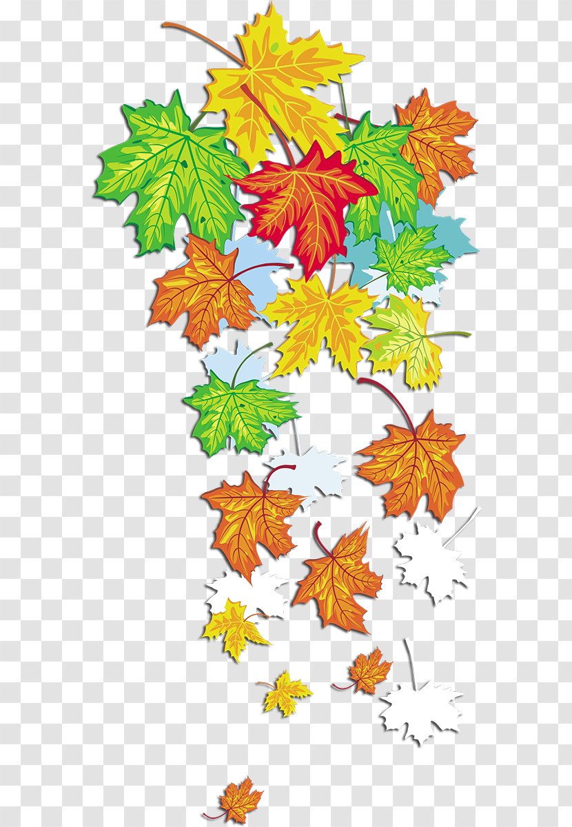 Clip Art Maple Leaf Autumn - Plants Transparent PNG