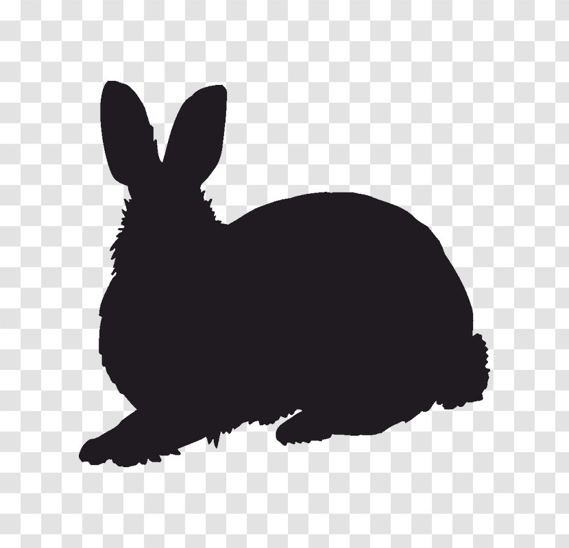 Domestic Rabbit Silhouette Hare Stencil - Decal Transparent PNG