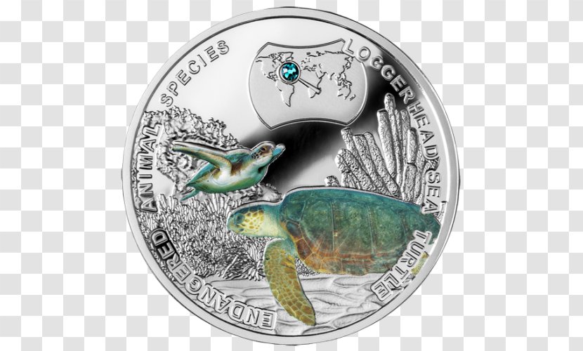 Coin Loggerhead Sea Turtle Silver Transparent PNG