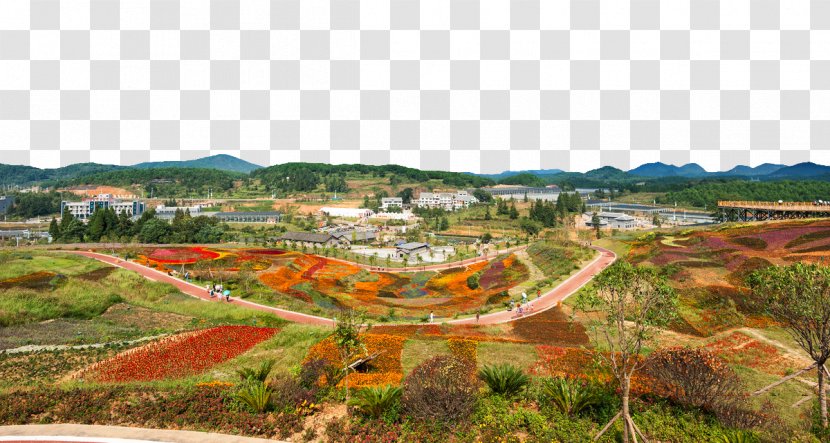 Landscape Painting - Ecoregion - Autumn Flower Yangchangdong Town Transparent PNG