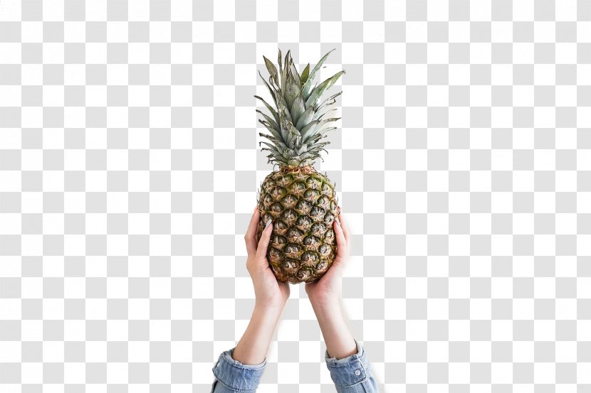 Pineapple Fruit Theme Desktop Environment Wallpaper - Bromeliaceae - Waved Transparent PNG