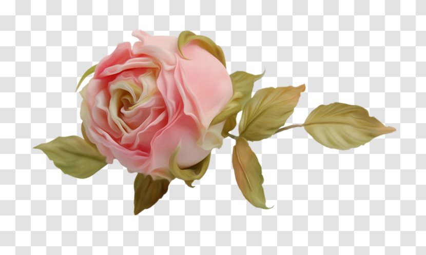 Garden Roses Clip Art - Artificial Flower - Data Compression Transparent PNG