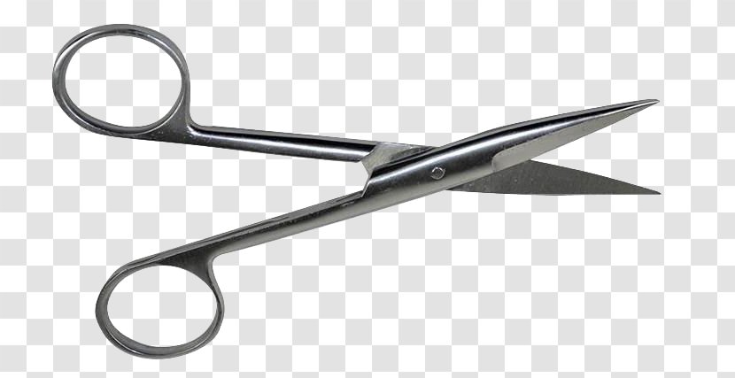 Scissors Hair Care Tool Barbershop - Tree - Hairdressing Transparent PNG