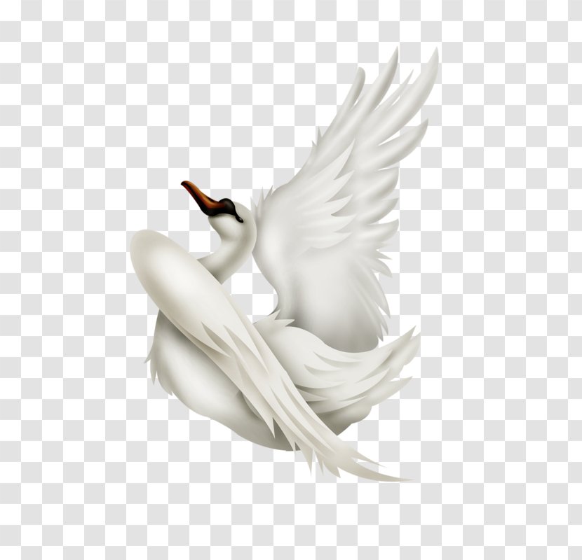 Swan Dog Goose Duck - Wing Transparent PNG