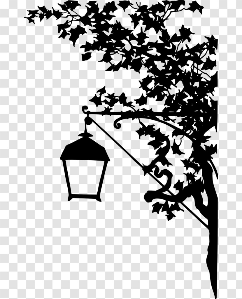 Tree Branch Silhouette - Houseplant Line Art Transparent PNG