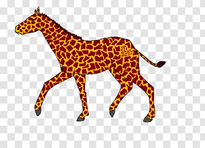 Giraffe Horse Cat Terrestrial Animal Neck Transparent PNG