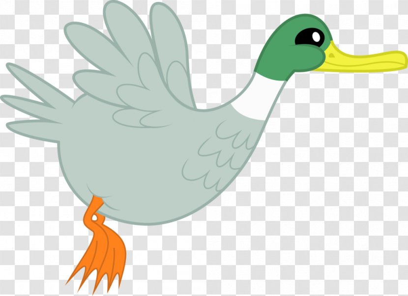 Duck Bird Anatidae Clip Art - Animation - Vector Transparent PNG