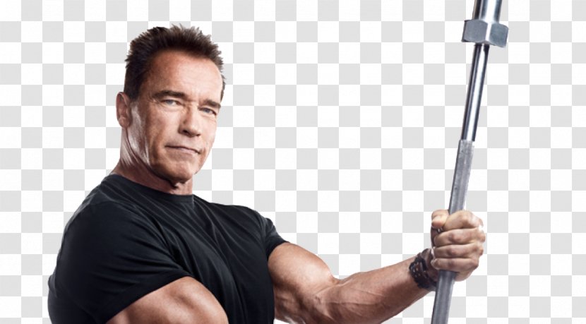 Arnold Schwarzenegger Physical Exercise Education Of A Bodybuilder Bodybuilding Fitness Centre - Arm - Free Download Transparent PNG