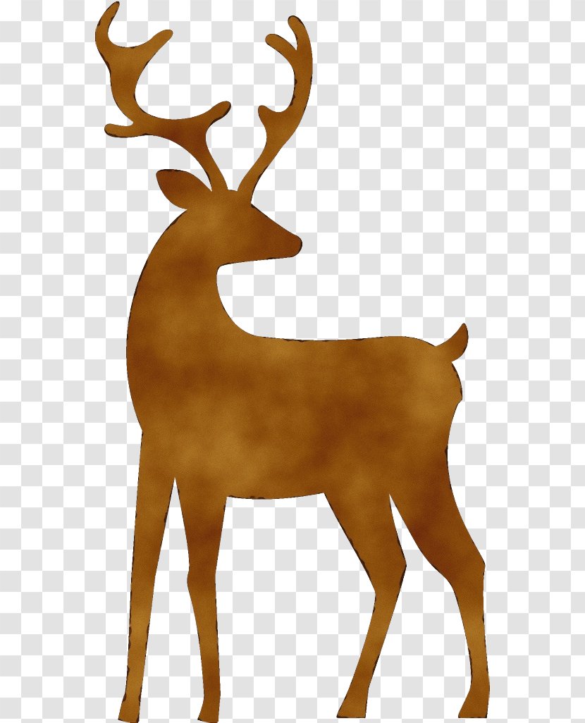 Reindeer - Wildlife - Antler Antelope Transparent PNG