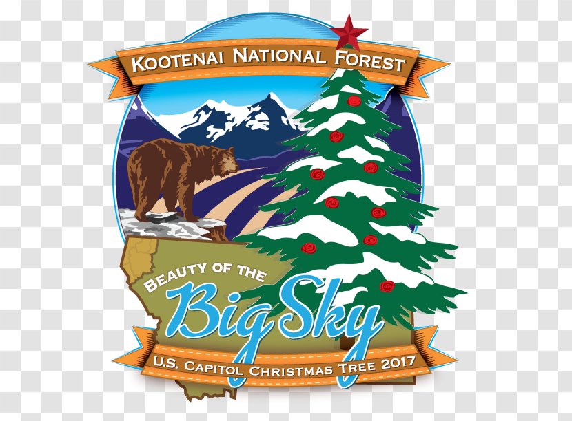 United States Capitol Kootenai National Forest The Christmas Tree Transparent PNG