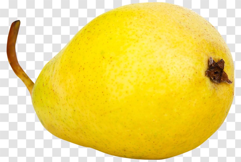 Citron Lemon Pyrus Nivalis Lime - Food - Mature Sydney Transparent PNG