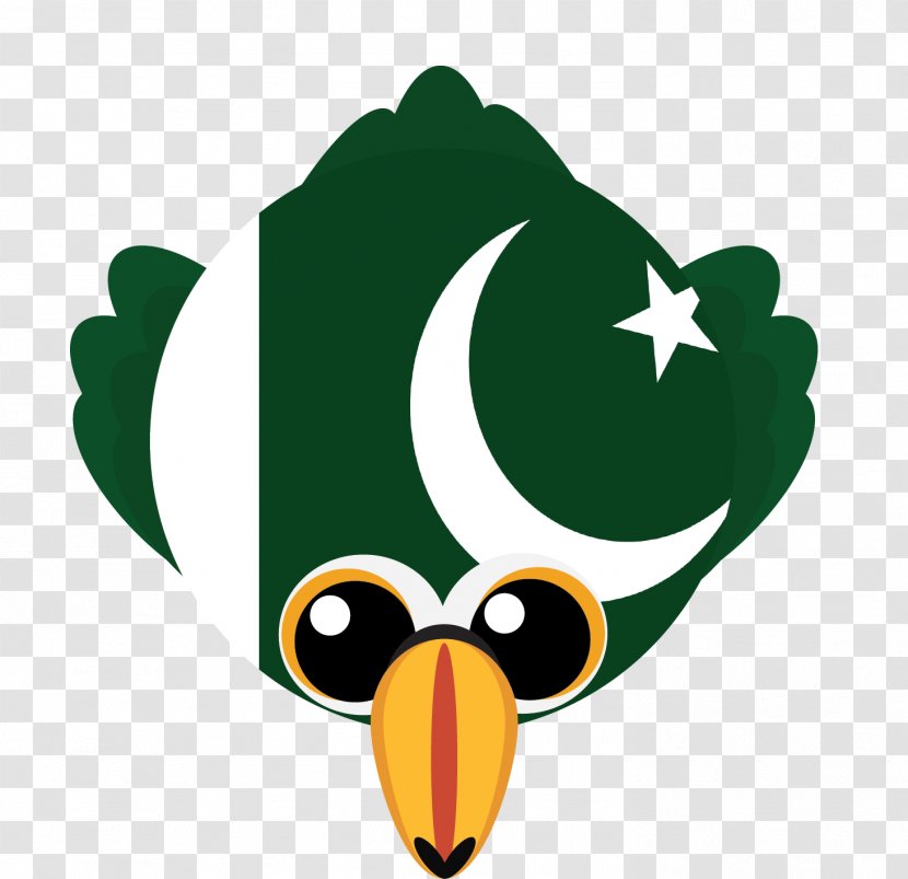 Pakistan Flag - National - Angry Birds Bird Transparent PNG