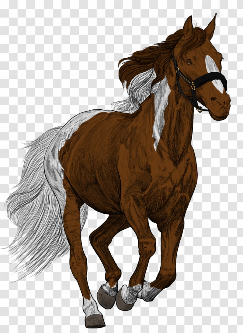 Mane Foal Stallion Pony Colt - Livestock - Mustang Transparent PNG