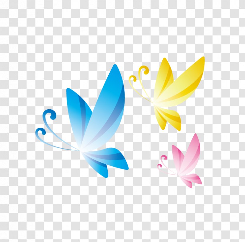 Butterfly Icon - Symmetry - Colorful Ornament Transparent PNG