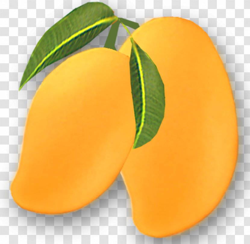 Mango Alphonso Fruit Clip Art Transparent PNG