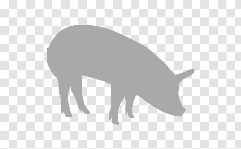 Wild Boar The Blue Pig Transparent PNG