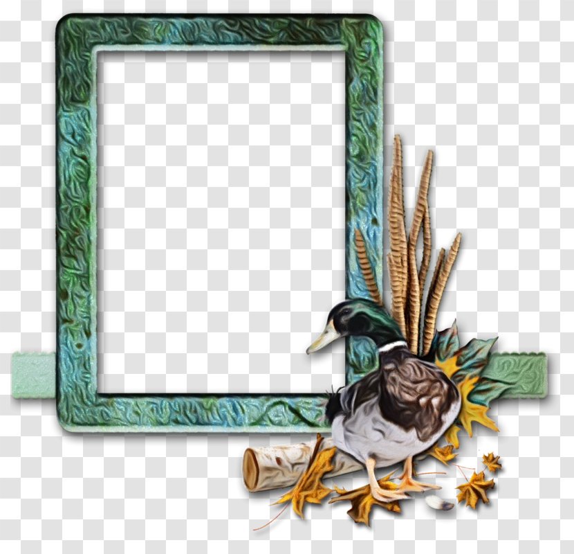 Watercolor Background Frame - Rectangle - Bird Transparent PNG