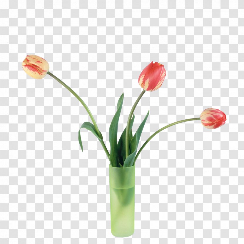 Tulip Flower Digital Image - Black - Red Tulips Transparent PNG