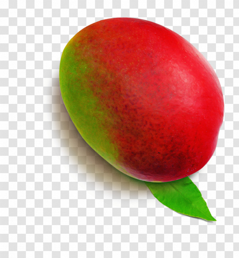 Mango Transparent PNG