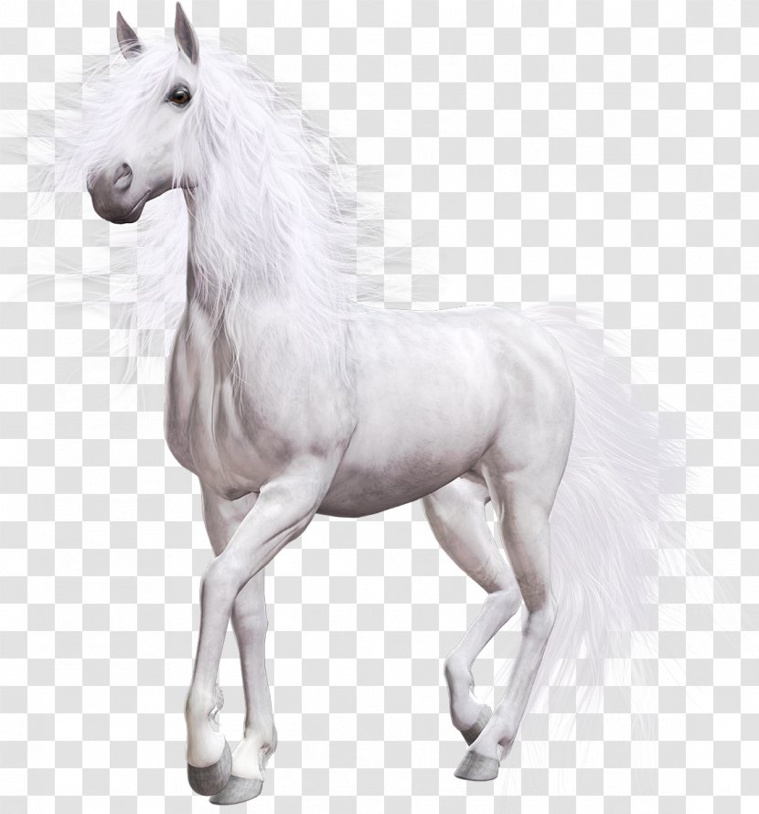 American Paint Horse Pony White Clip Art - Mustang - Mane Transparent PNG
