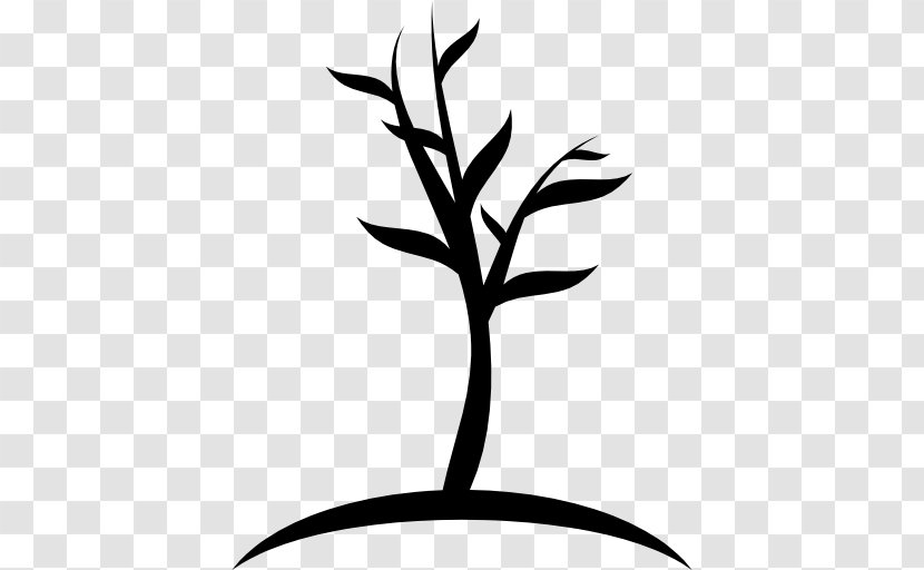 Tree Download - Plant Transparent PNG