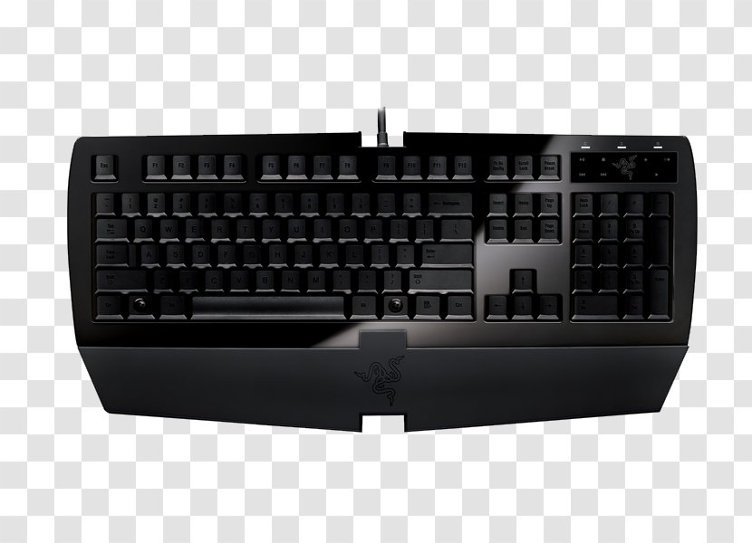 Computer Keyboard Razer Arctosa Inc. Touchpad DeathStalker - Peripheral Transparent PNG