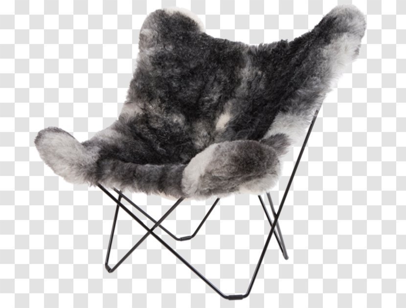 Butterfly Chair Egg Wing - Furniture Transparent PNG