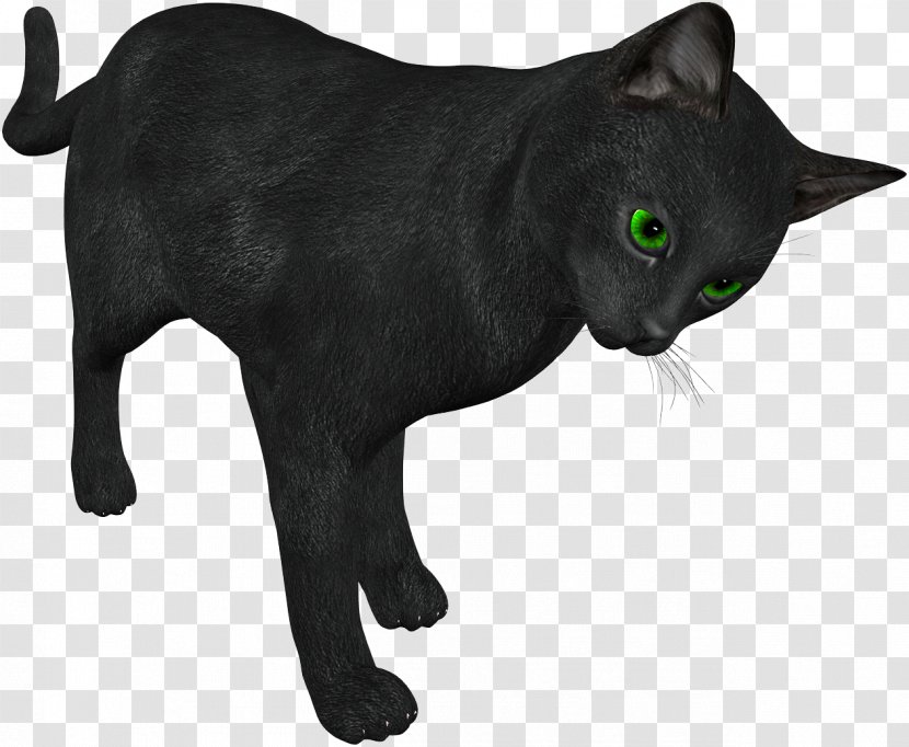 Cat Animaatio Computer Animation Clip Art - Black Transparent PNG