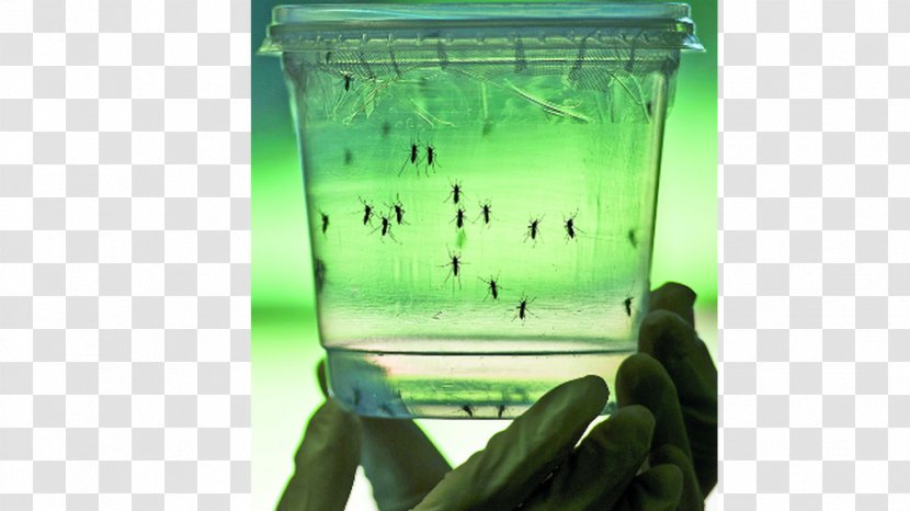 The Zika Virus Hardcover Technology Transparent PNG