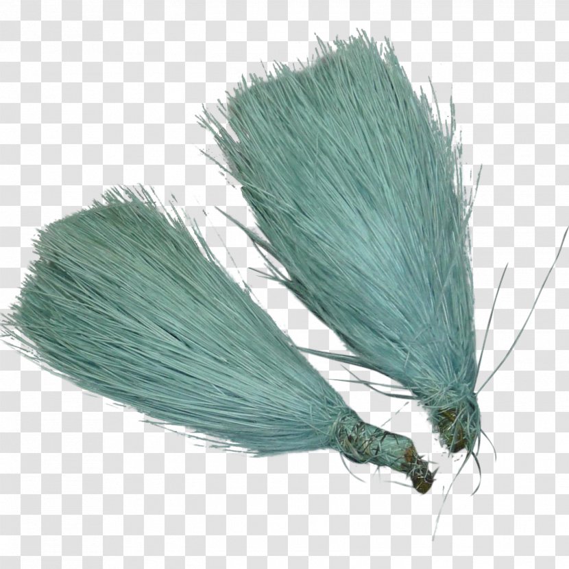 Grasses Brush Family - Feather Transparent PNG