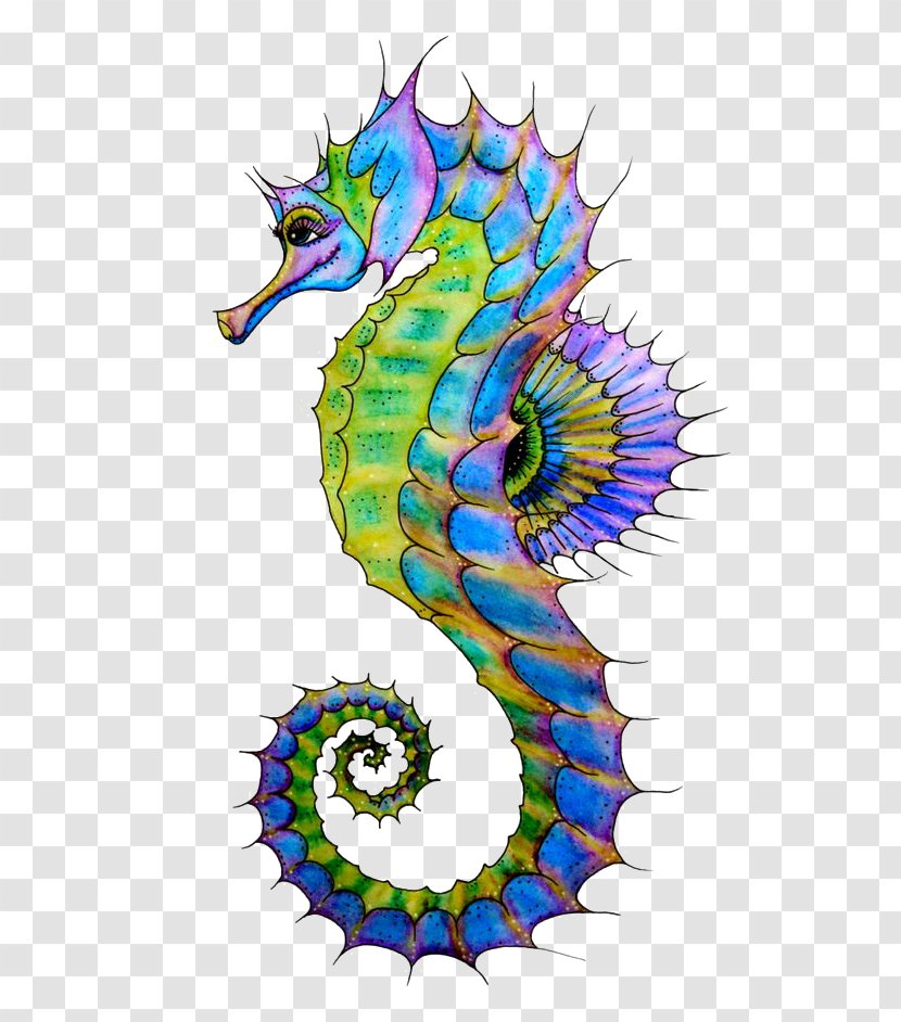 Seahorse Drawing Art Clip - Cuteness - Hippo Transparent PNG