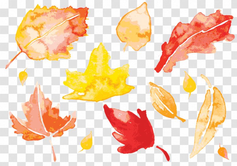 Autumn Leaves Watercolor Painting Leaf - Vector Transparent PNG