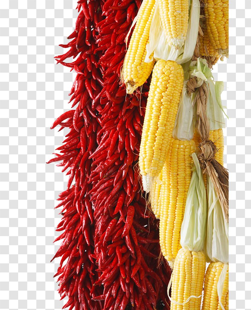 Chili Con Carne Cayenne Pepper Maize - Stock Photography - Chili,corn Transparent PNG