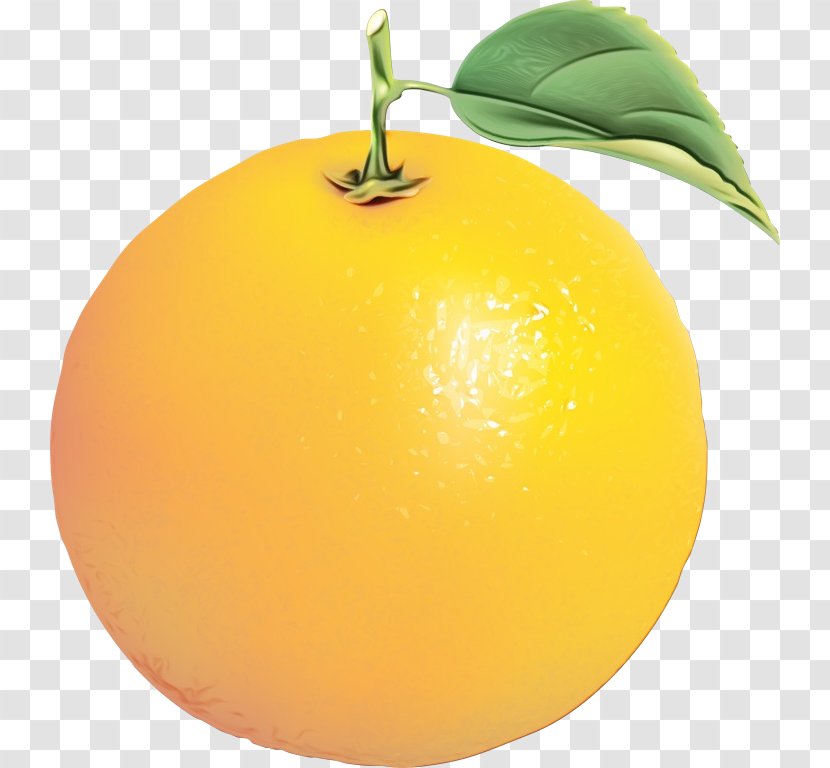 Lemon Juice - Food - Plant Transparent PNG