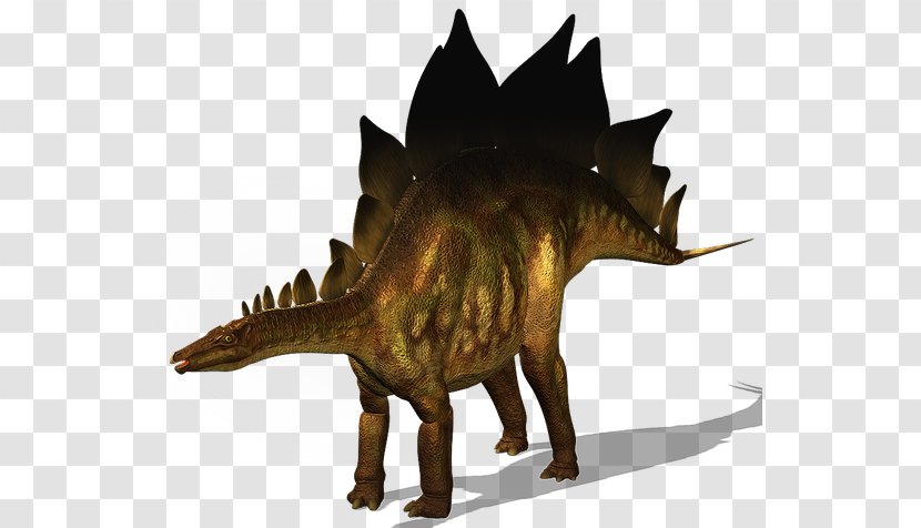 Stegosaurus Ankylosaurus Tyrannosaurus Triceratops Iguanodon - Dinosaur Transparent PNG