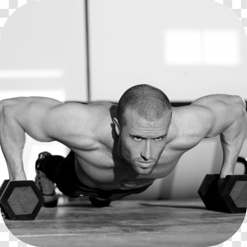 Push-up Dumbbell Exercise Fitness Centre Row - Silhouette Transparent PNG