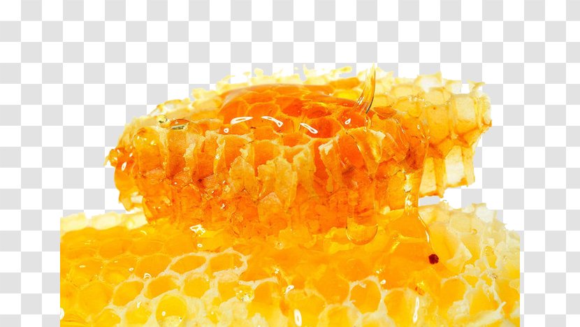 Honey Bee Honeycomb Food - Nest Transparent PNG