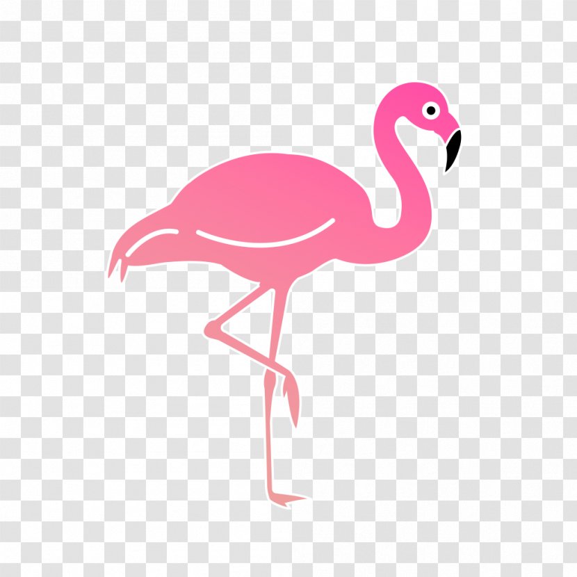 Las Canciones Que Escribí Mientras Volaba Bird Beak Feather Compact Disc - Wing - Flamingos Transparent PNG