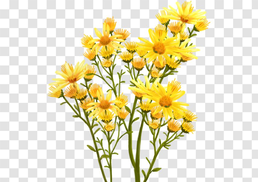Chrysanthemum Nosegay Flower Bouquet - Vivid Transparent PNG