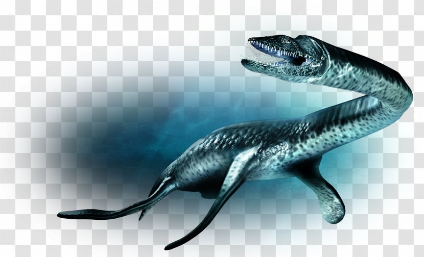 Plesiosaurus Velociraptor Parasaurolophus Liopleurodon Plesiosauria - Dinosaur Transparent PNG