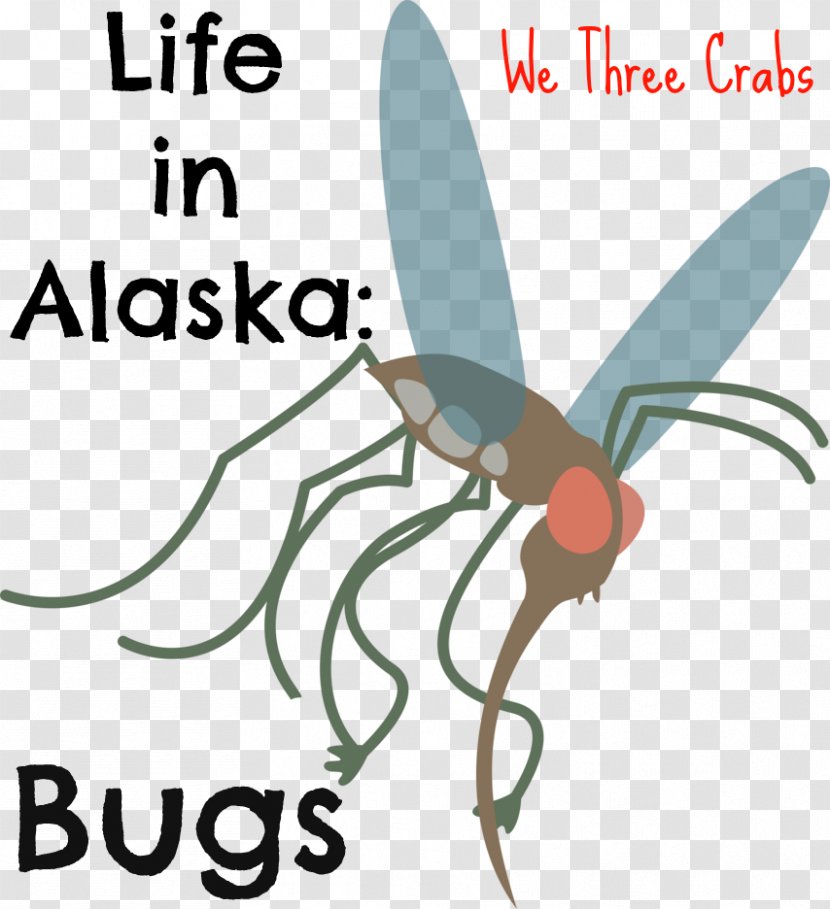 Fly Insect Ketchikan Aedes Albopictus Clip Art - We Are Moving Transparent PNG