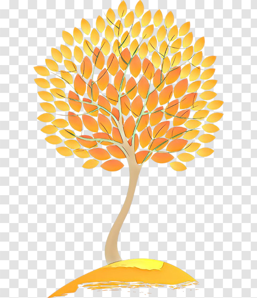 Orange Transparent PNG