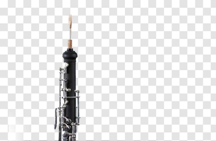 Musical Instruments Woodwind Instrument Clarinet Family Oboe - Tree Transparent PNG