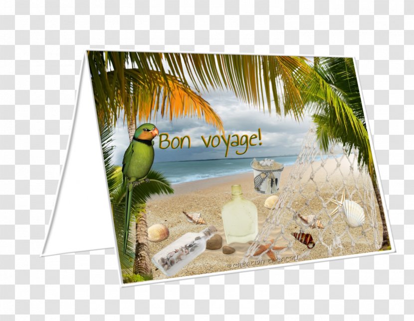Advertising Picture Frames Fauna Image E-card - Organism - Bon Voyage Transparent PNG
