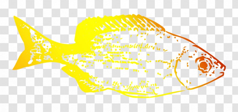 Marine Biology Deep Sea Fish Desktop Wallpaper - Bonyfish Transparent PNG