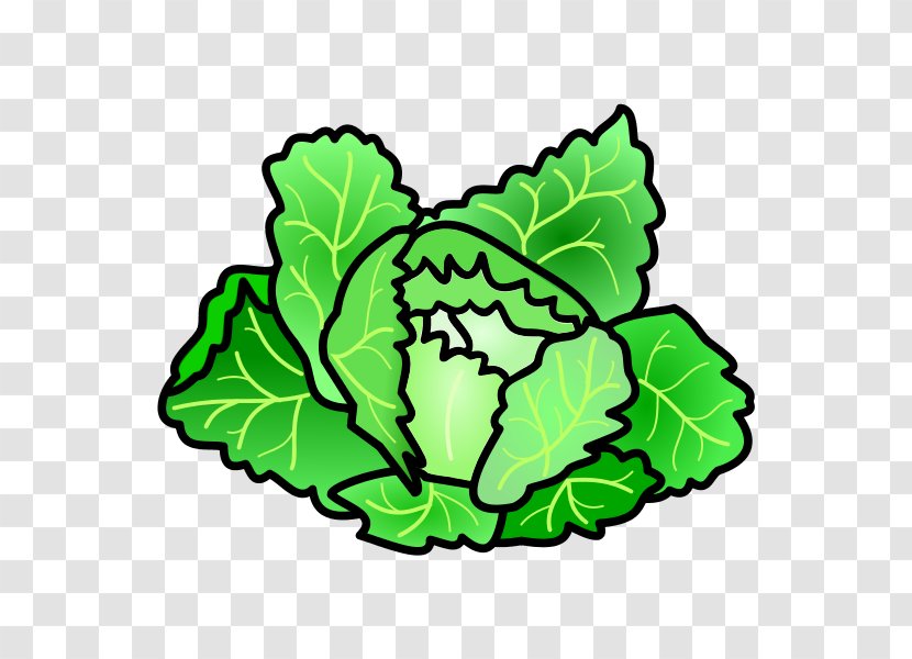 Greens Leaf Cabbage Clip Art Vegetable - Ogs Transparent PNG
